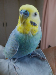 結構突きます。