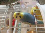 亡くなる2日前です。