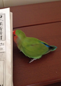 次のページ、、、