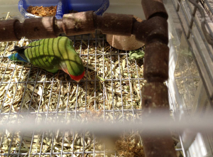 ナンカオチテナイカナ、、、