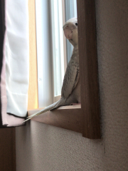 ちらっと！