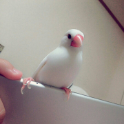 爪が他の爪に絡まっている時もあります