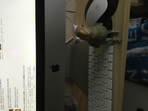 づんづんです