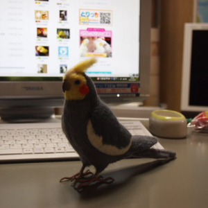 カメインコ