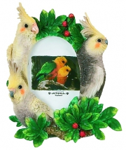 オカメインコさんのフォトフレームです