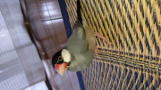 向きごめんなさい
