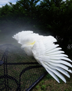 気持ちいいね(^o^)