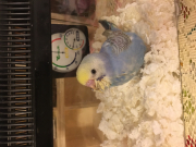 お迎え当日
