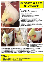 ポスターをつくりました。詳細はこちらに。