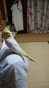 ままああぁぁぁあアア゛！！！