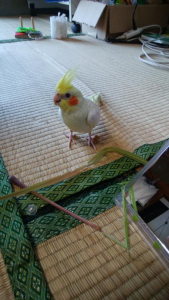 モゴモゴ