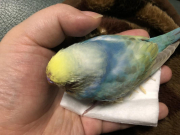 最期の時間