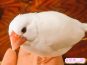 來夢ちゃん