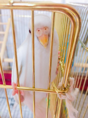 8月頃