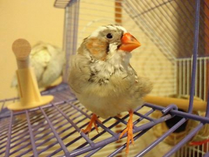 これはボクのおウチだゾ〜！