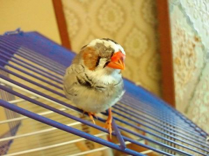 そこ、ボクんちなんやけど〜！！