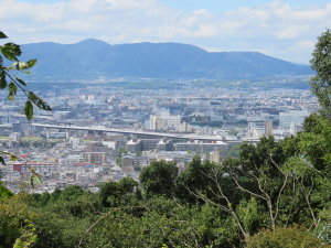 山頂から見た景色