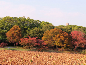 長居公園