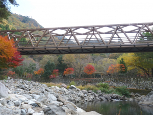 お山の紅葉も綺麗でした