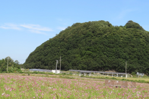 よく見ると太陽光発電が・・