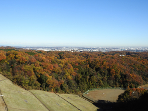 関東平野を見渡してきました