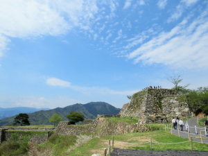 登ってきました