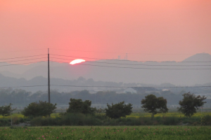 夕日が綺麗でした