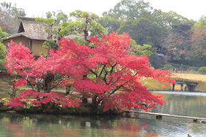 後楽園