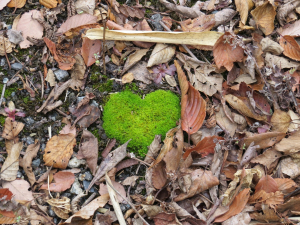 山で見つけた&#9829;ヤラセではありません