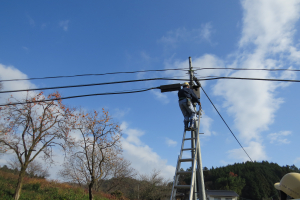 電柱に登る保護連盟の方