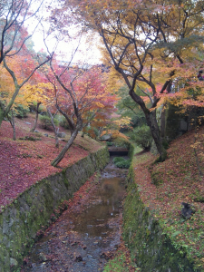 紅葉の京が懐かしい