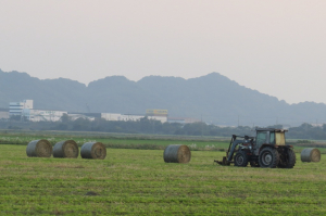 北海道ではないよー