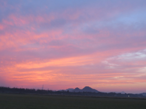 干拓の夕焼け