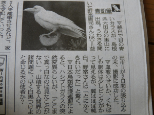 新聞より