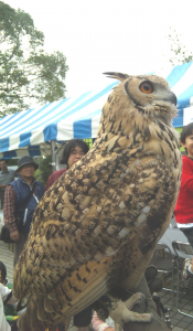 極上の触り心地