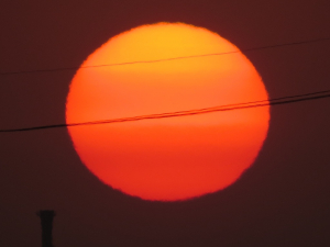 一昨日は綺麗な夕日でした