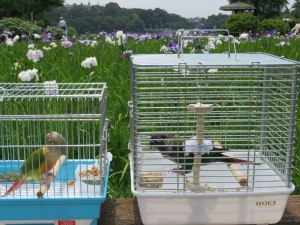 気持ちよさそう