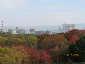 大阪の紅葉