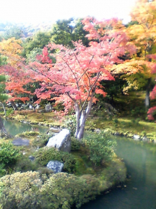 紅葉