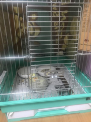 こんな感じでヒーターの無いところでぼーっとしています。