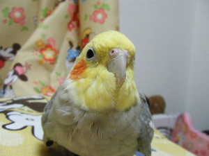 正面。・・・なんか変ですが(^^ゞ