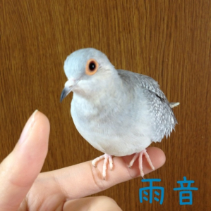 雨音ちゃん