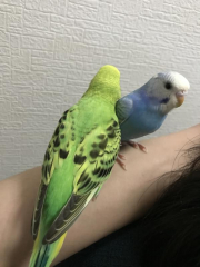 とってもなかよしです