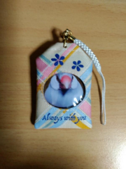 ブンちゃんの羽毛を入れてお守りを作りました