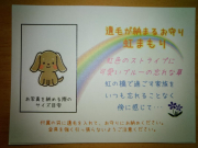 ペットの遺毛を入れる小さなお守り