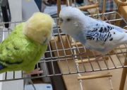 兄ちゃん&hellip;？