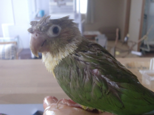ヘアスタイル変わっちゃってるし（＾＾；