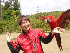 バードショー、Tさんとロゼちゃん