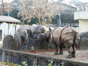 何やら一生懸命お喋りしてたよ