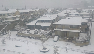 雪景色です。神戸市内ですよ〜！